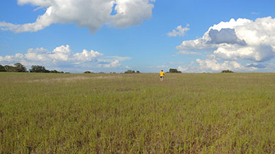 land before house construction