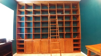 custom built-in bookshelves
